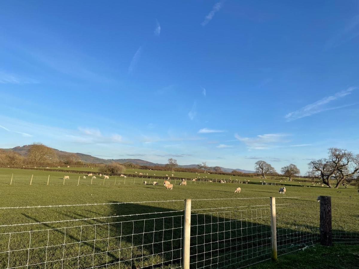 Rhuddlan Abbey Farm Luxury Glamping酒店 外观 照片