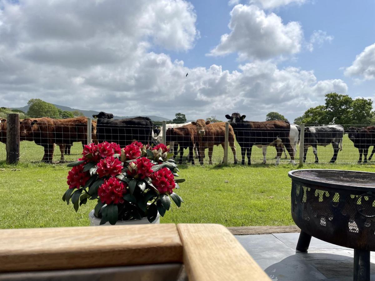 Rhuddlan Abbey Farm Luxury Glamping酒店 外观 照片