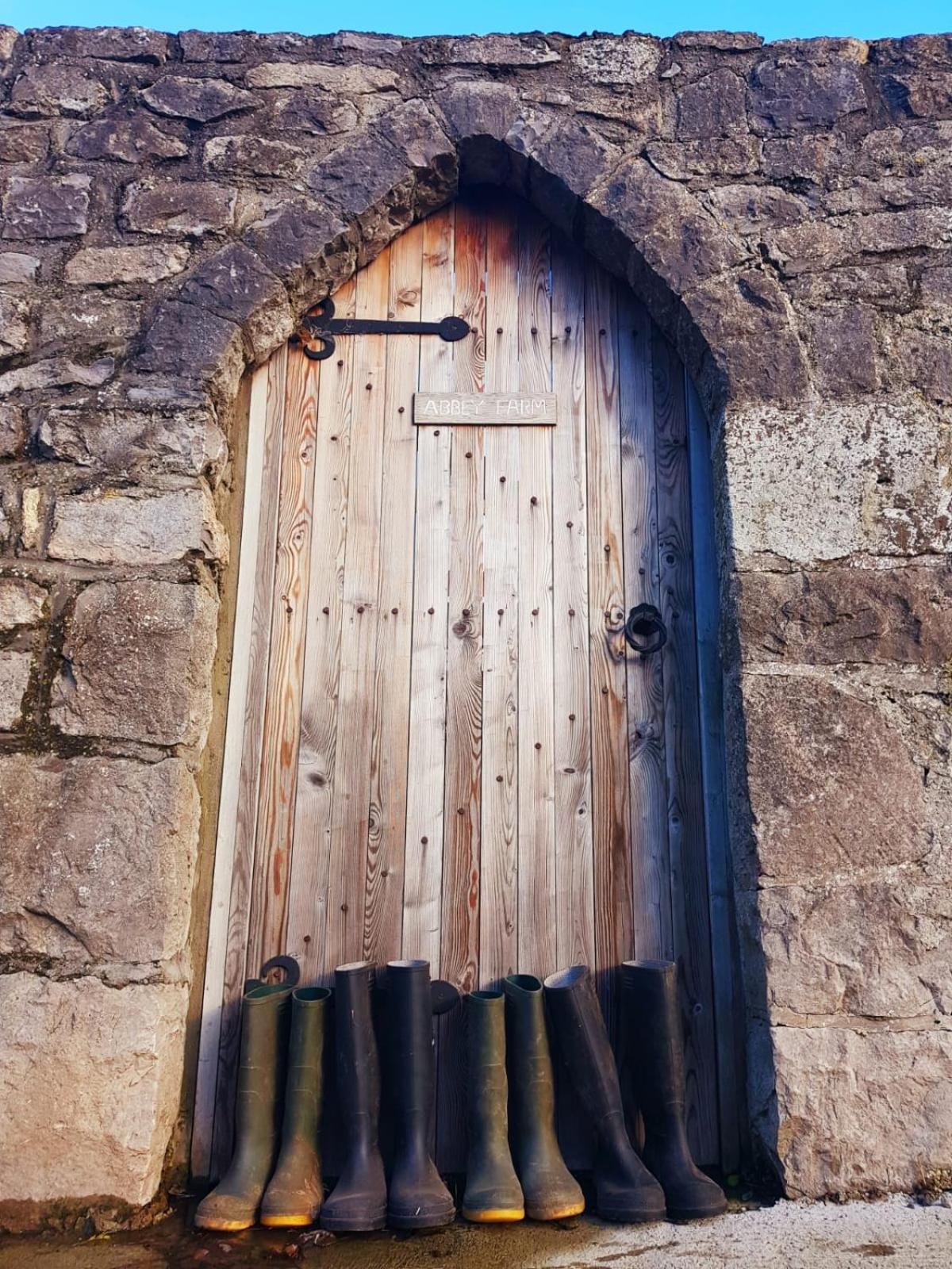 Rhuddlan Abbey Farm Luxury Glamping酒店 外观 照片